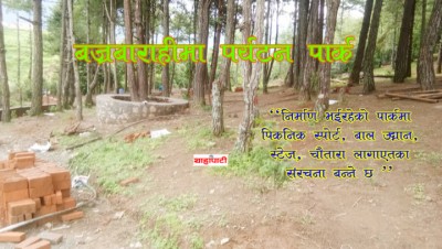 park-1597663873.jpg