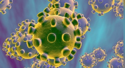 korona_virus_62Du0tP47r-1599792701.jpg