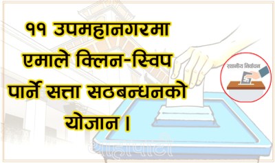 Election-1648881024.jpg