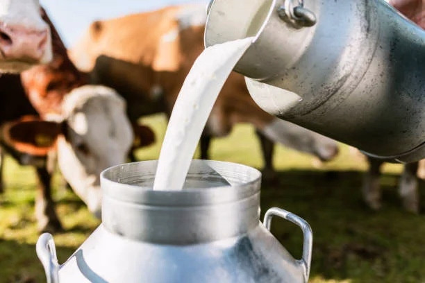 duda_-can-newss-1675590157.jpg