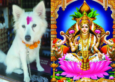 tihar-1699754297.jpg