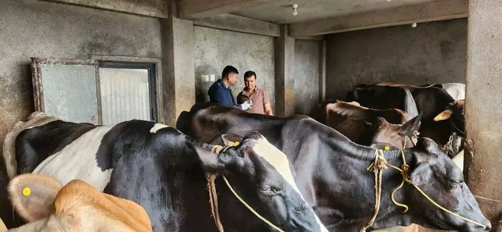 1719842394148-1719842620.jpg